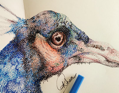 Realistic Doted Peacock