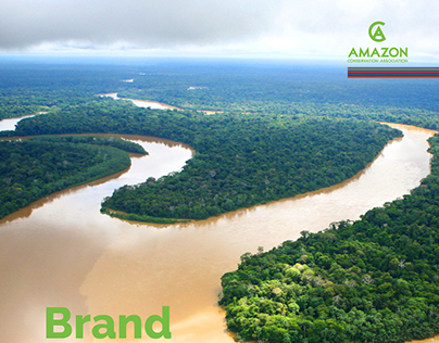 Branding Project | Amazon Conservation Association Bran