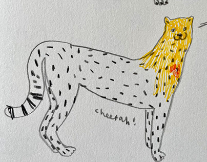 Cheetah meowing