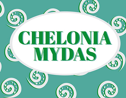 Chelonia Mydas | Tortuga verde Marina