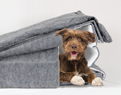 FurFort: storm hide-away for dogs