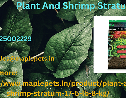 Plant And Shrimp Stratum