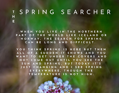 The spring searcher