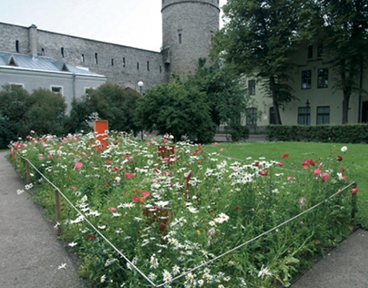 Urban Jungle. Tallinn Flower Festival 2012