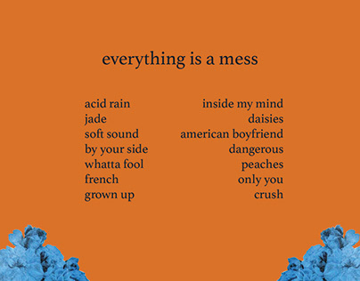 everything is a mess // album back