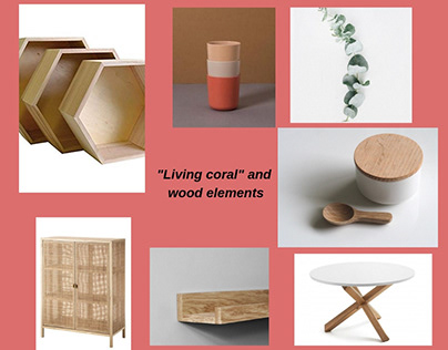Living Coral: Kitchen project