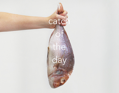 catch of the day Poster Series