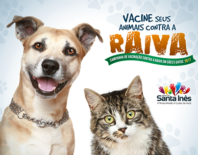 Campanha de Vacinação de Cães e Gatos. Santa Inês-BA