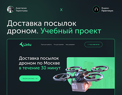 Lintu — Яндекс.Практикум