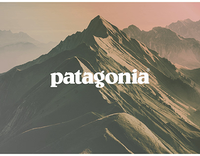 Project thumbnail - Patagonia Activism
