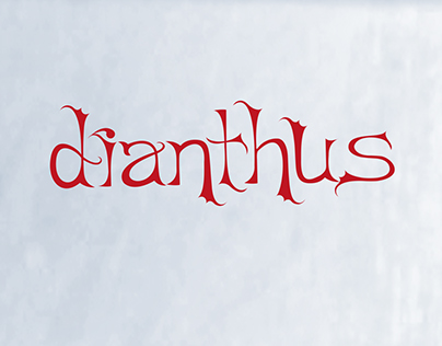 Dianthus/Typeface Design