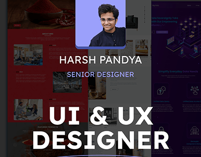 UI/UX Designer Harsh Pandya