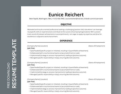 Free Editable Online Entry Level Resume Template