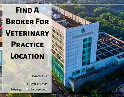 Find A Broker For Veterinary Practice Location