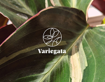 Variegata / flower shop