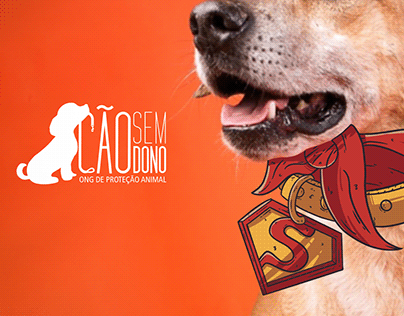 Cão Sem Dono - Adopt a Hero