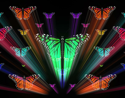 VJ Loops Pack Vol.67 – Butterfly Effect