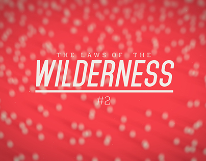 laws of the wilderness #2