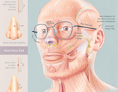 Project thumbnail - Facial anatomy