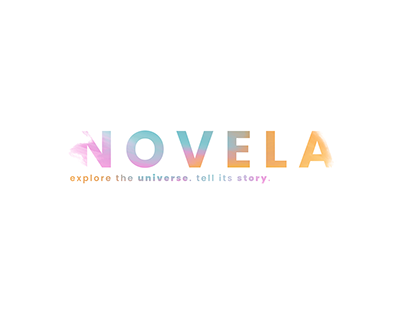 Novela Conference