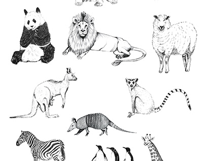 Animals-Illustration