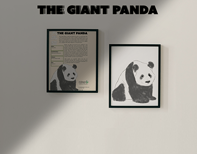Giant Panda Informative Poster