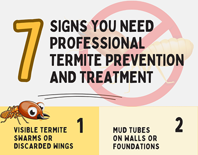 7 Warning Signs of Termite Prevention and Treatment