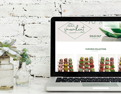 Concept design for Succulent floral shop