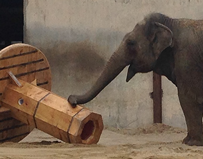 Toys for Elephants - The Archimedes Screw