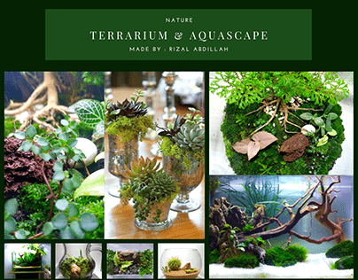 Project thumbnail - Terrarium and Aquascape