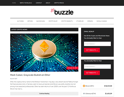 buzle blogging website