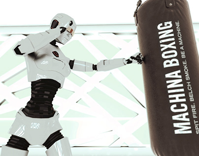 Boxing bot - Visualisation/ Animation