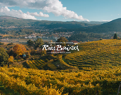 RIAS BAIXAS - Wine region website