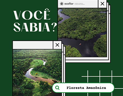 VC SABIA (Floresta Amazônica)