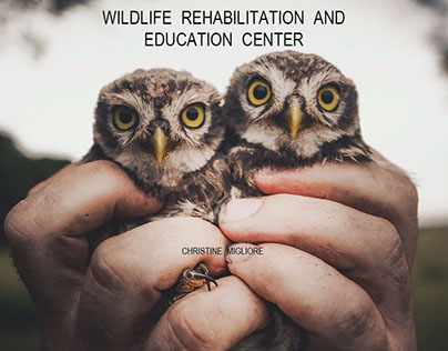 Wildlife Rehabilitation and Education Center- Capstone
