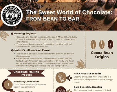 The Sweet World of Chocolate: From Bean to Bar
