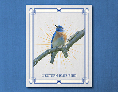 Blue Bird - Print