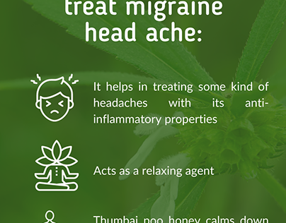 Thumbai honey for migraine