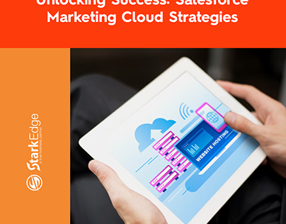 Unlocking Salesforce Marketing Cloud Strategies