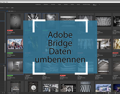 Adobe Bridge - Daten umbenennen