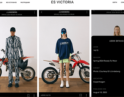 WEB DESIGN online store "ES VICTORIA"