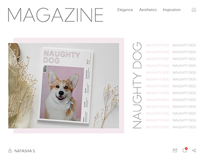 Project thumbnail - MAGAZINE DESIGN «Naughty Dog» (concept)