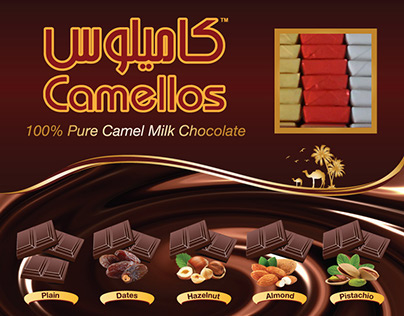 Camel Chocolate Branding
