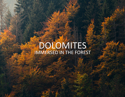 The autumnal Dolomites forests