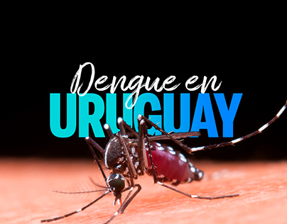 Dengue en Uruguay