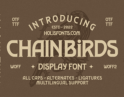 Chainbird Classic Font by Holisfonts.com