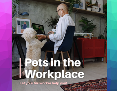 Pets in the Workplace - Woof Gang PH