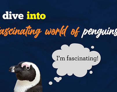 The Fascinating world of penguins