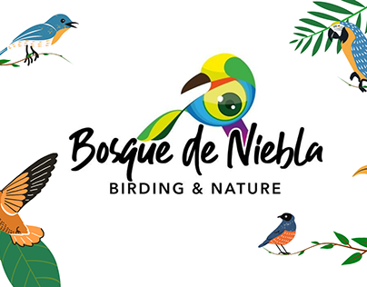 Bosque de Niebla-Birding y Nature