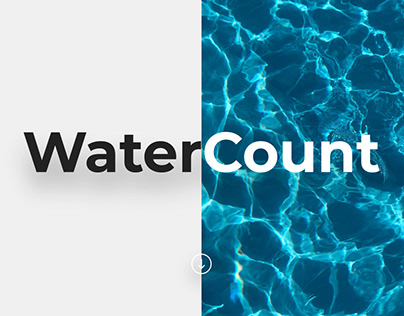 WaterCount App UX